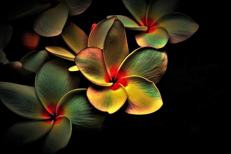 Meditation and Relaxation